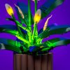 Peace Lily 11054 mid base[1]
