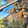 The Dawn of Pangea - Wild Woods