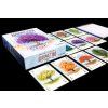 TLAMA games - Arboretum CZ